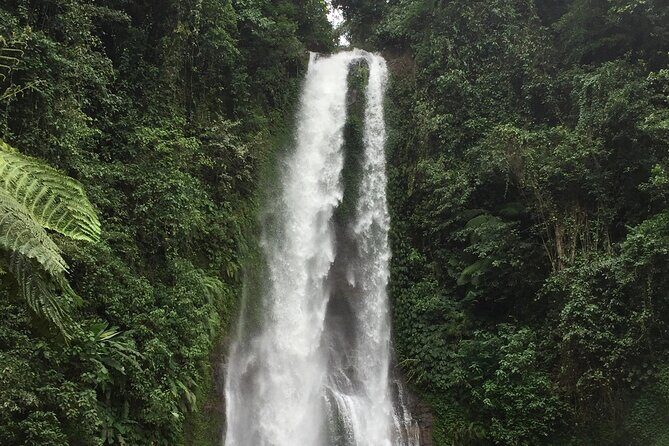 Dolphin Tour and Sunrise Watching in Lovina Beach - All Inclusive - Optional Upgrade: Waterfall and Temple Stops