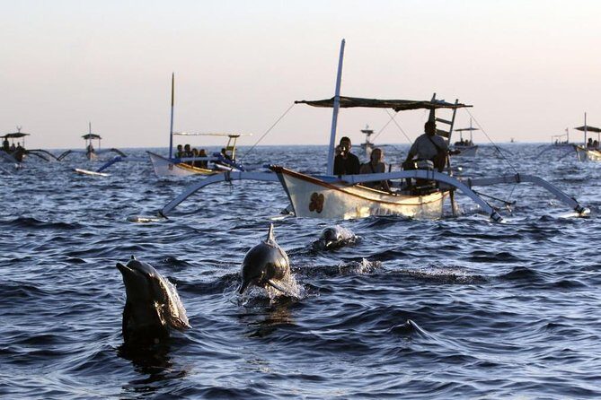 Dolphin Tour and Sunrise Watching in Lovina Beach - All Inclusive - The Glass-Bottom Boat Experience (and What You’ll Actually See)