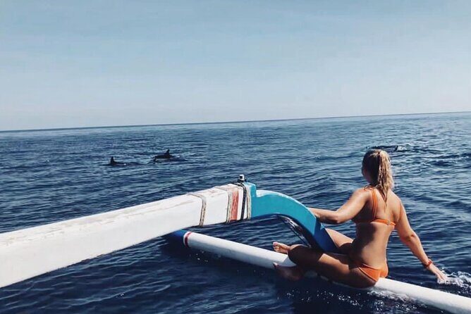 Dolphin Watching Tour, Swimming with Dolphins and Snorkeling - Key things that make this dolphin and snorkeling tour worth your morning