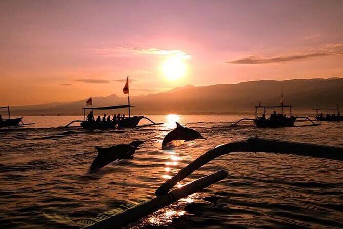 Dolphin Watching Tour, Swimming with Dolphins and Snorkeling - Why Lovina sunrise is the real star of north Bali