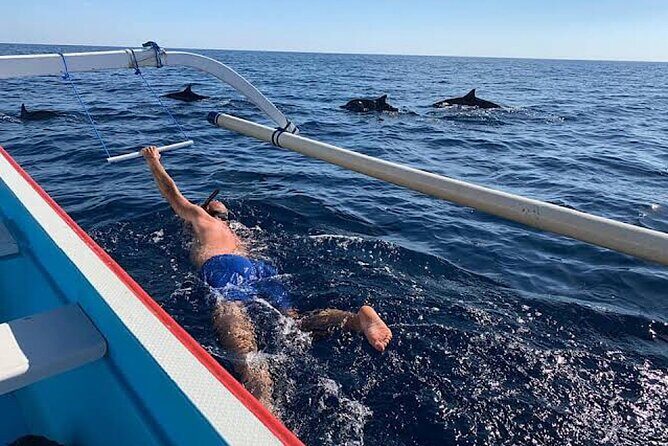 Dolphin Watching Tour, Swimming with Dolphins and Snorkeling - How swimming with dolphins works from the boat
