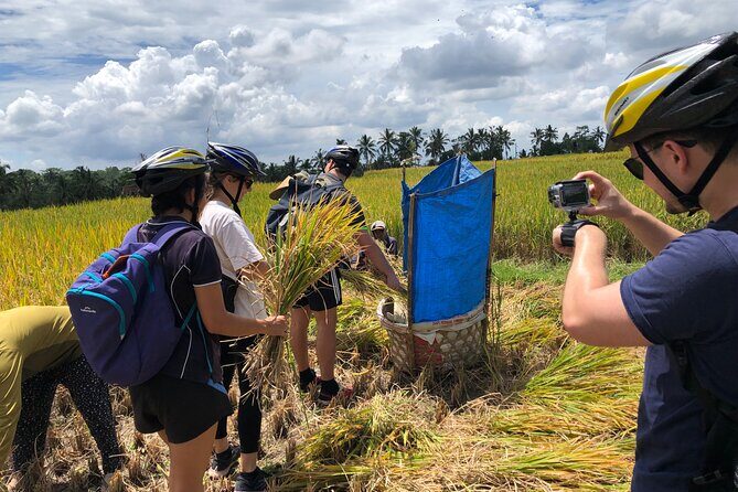 Downhill Cycling Ubud with Volcano, Rice Terrace and Educational - Bikes, helmets, and the one safety reality check you should not skip