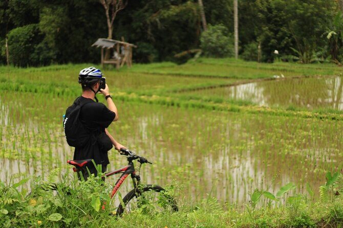 Downhill Cycling Ubud with Volcano, Rice Terrace and Educational - Guides, group size, and why the photographer is more useful than you think
