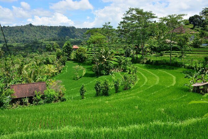 East Bali Tour: Gate of Heaven, Water Palace, Sleeping Gajah - Who this tour fits best, and who should think twice