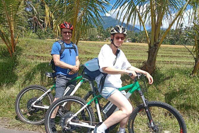 Electric bicycle tour in Jatiluwih UNESCO site - Local Guides Who Explain the Rice, Not Just the Stops