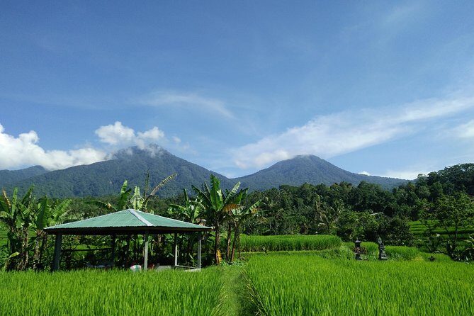 Electric bicycle tour in Jatiluwih UNESCO site - Pickup, Transfers, and Getting There Without Drama