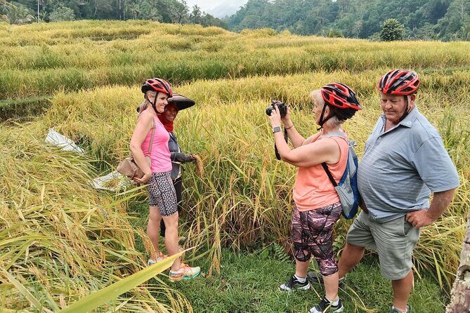 Electric bicycle tour in Jatiluwih UNESCO site - What You’ll Actually See Along the Route