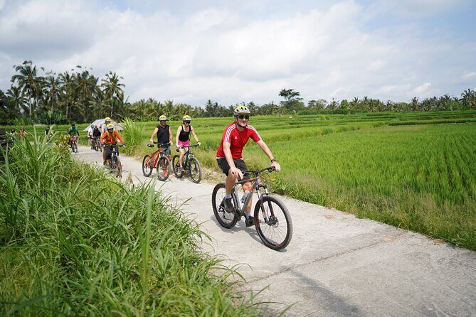 Electric Bike and Swing Package - Key highlights you’ll feel during the ride