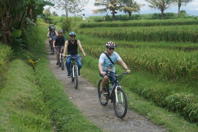 Electric Bike and Swing Package - Stop 6 in Bresela: subak irrigation lessons tied to the rice fields