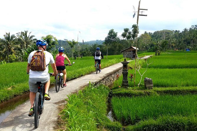 Electric Cycling Tour of Ubud with Free Hotel Transfer and Lunch - Price and what $41 really covers