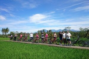 Electric Cycling Tour of Ubud with Free Hotel Transfer and Lunch - Pickup, timing, and the start point you actually need