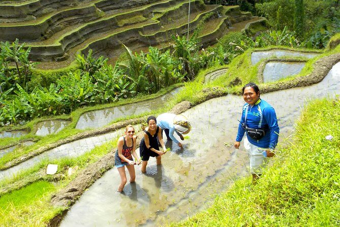 Electric Cycling Tour of Ubud with Free Hotel Transfer and Lunch - Coffee plantation stop and the jungle swing: fun, plus an ethical question