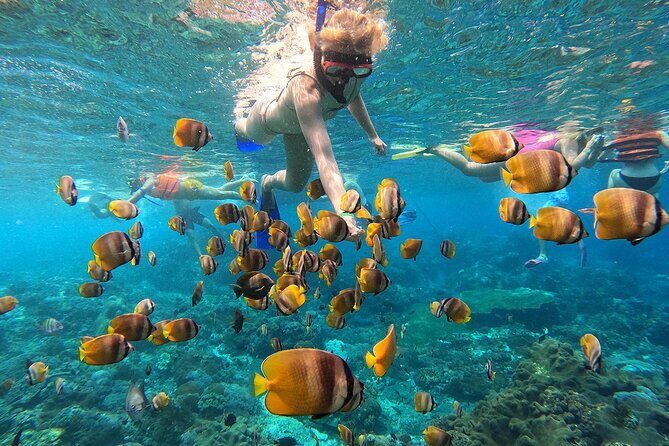 Explore 4 iconic snorkeling spots of Manta Bay in Nusa Penida - Key things to know before you go
