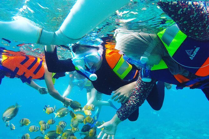 Explore 4 iconic snorkeling spots of Manta Bay in Nusa Penida - Why Manta Bay snorkeling is more than mantas