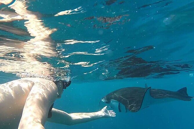 Explore 4 iconic snorkeling spots of Manta Bay in Nusa Penida - The four stops that shape the day