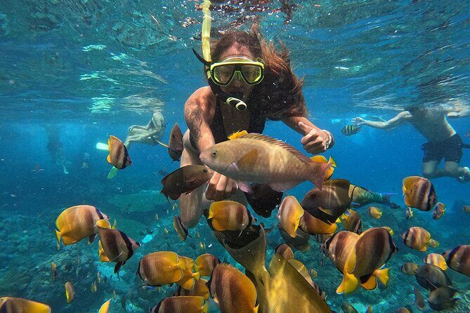Explore 4 iconic snorkeling spots of Manta Bay in Nusa Penida - Time in the water: short slots, smart pacing