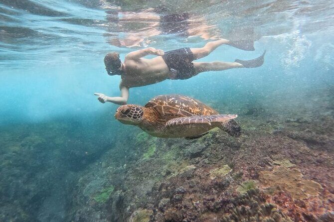 Explore 4 iconic snorkeling spots of Manta Bay in Nusa Penida - Gear, water, towels, and comfort details that matter