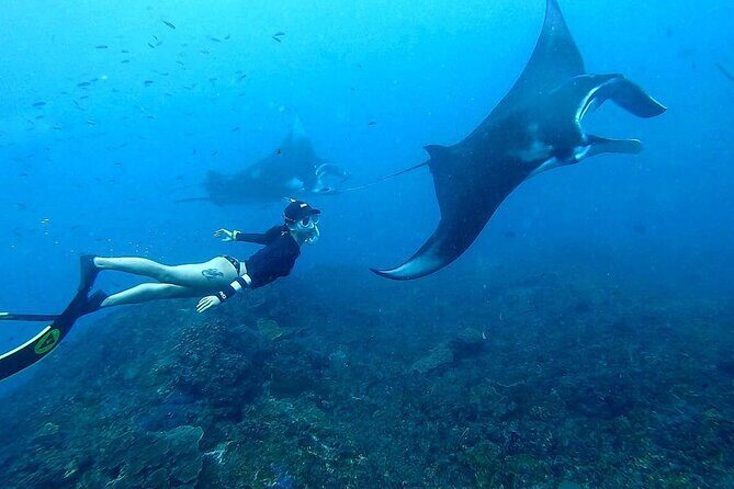 Explore 4 iconic snorkeling spots of Manta Bay in Nusa Penida - GoPro photos and video: how to get the shots you want