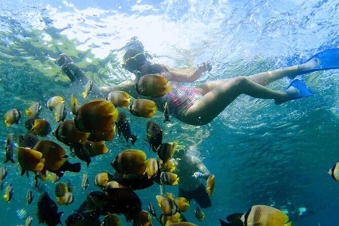 Explore 4 iconic snorkeling spots of Manta Bay in Nusa Penida - Manta sightings: the realistic way to hope