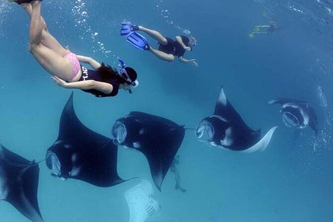 Explore 4 iconic snorkeling spots of Manta Bay in Nusa Penida - Price and what you actually get for $27