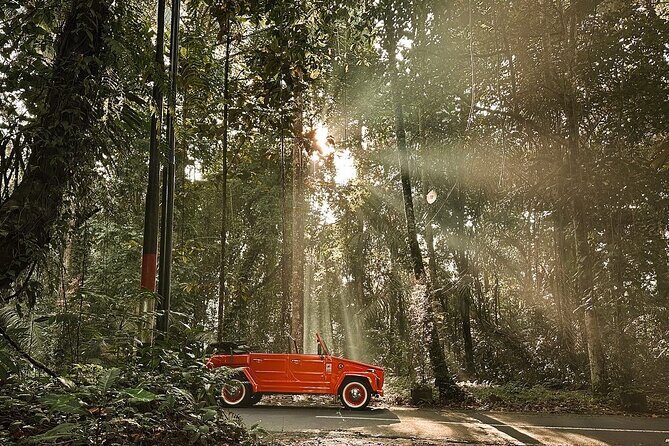 Explore Bali's Hidden Gems In a Classic Vw Convertible - Tirta Empul Temple: The Holy Spring Water Temple Etiquette
