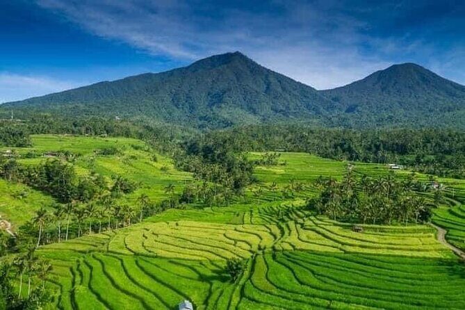 Explore Munduk Customized 8 Hour Day Tour in North Bali - Building Your Perfect Itinerary: Pick Stops, Then Shape the Route