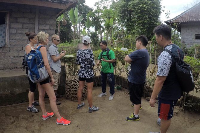 Explore Ubud with Electric Bike - A Calm Half-Day on an Electric Bike Around Ubud