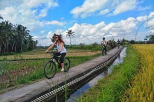 Explore Ubud with Electric Bike - The Ride Reality: Safety Briefing and How E-Bikes Feel