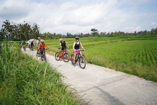 Explore Ubud with Electric Bike - Stop 1: Breakfast at Greenkubu Restaurant and Swing