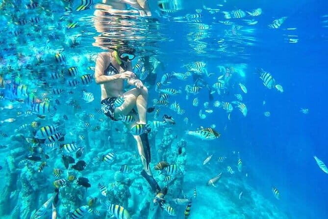 From Gili Trawangan & Gili Air Snorkeling Trip Sharing & Private - What’s Included in the Price (So You Don’t Get Surprise Expenses)