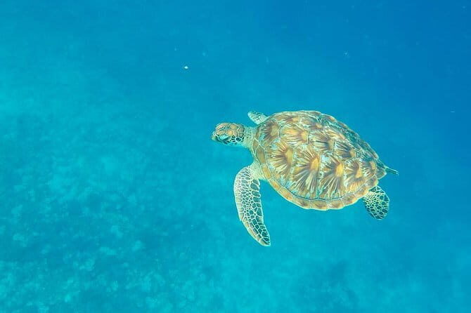 From Gili Trawangan & Gili Air Snorkeling Trip Sharing & Private - Your Route Around the Gilis: How the Stops Typically Feel