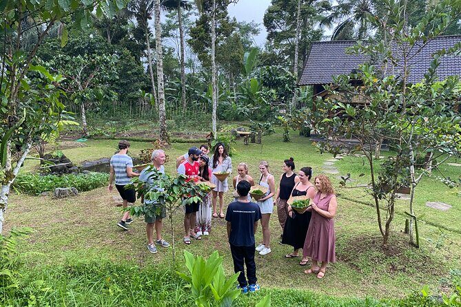 From Ubud: Authentic Bali Farm Cooking School & Organic Farm - Key highlights you should know