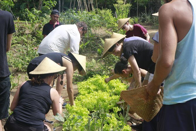 From Ubud: Authentic Bali Farm Cooking School & Organic Farm - Price and value: where your $38 really goes