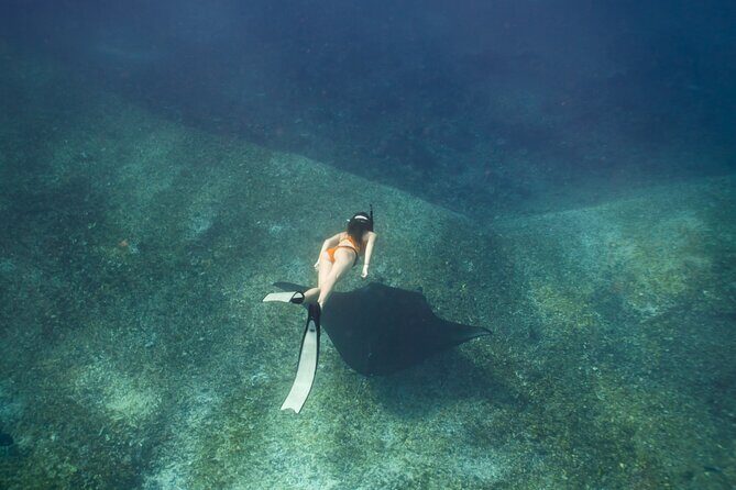 Full-Day Adventure Tour to komodo Island with join Speed Boat tur - Early-morning speedboat logistics from Labuan Bajo