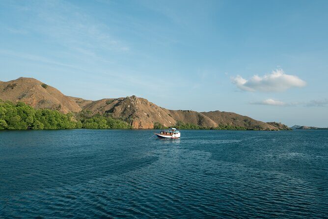 Full-Day Adventure Tour to komodo Island with join Speed Boat tur - Taka Makassar and Manta Point drift snorkeling: luck, weather, and timing