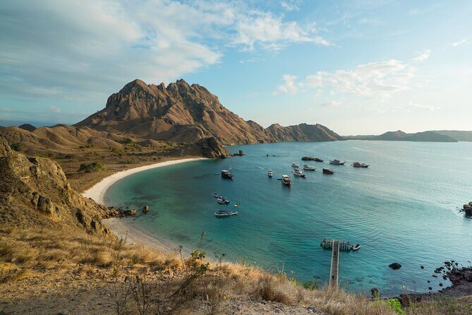 Full-Day Adventure Tour to komodo Island with join Speed Boat tur - Price and value: what $130 covers and what to budget for
