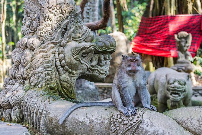 Full-Day Ayung River White Water Rafting and Ubud Tour - Rafting Gear, Lockers, and Showers That Actually Help