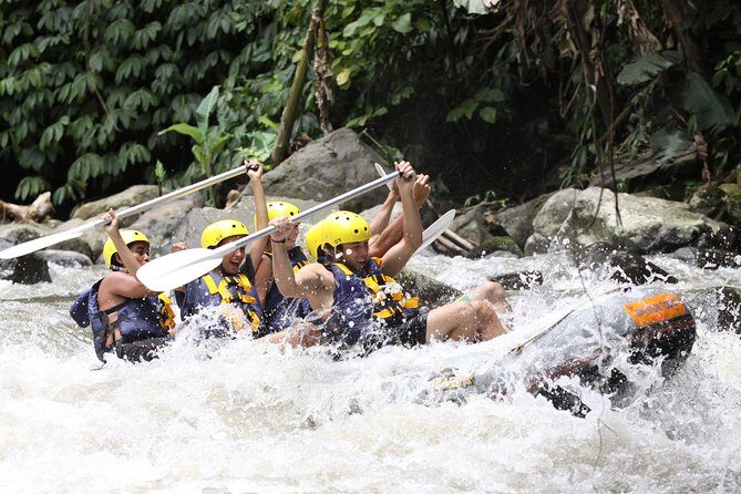 Full-Day Ayung River White Water Rafting and Ubud Tour - The Walk Down to the River: Totally Doable, But Bring Common Sense