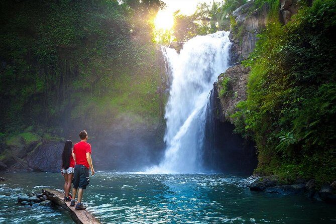 Full-Day in Bali: Amazing Ubud Tour - Sacred Monkey Forest Sanctuary: More than 700 macaques, wildlife-style