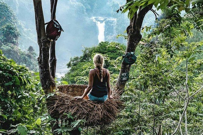 Full-Day in Bali: Private Design-Your-Own Tour - Elephant Cave, Gunung Kawi Sebatu, and Happy Swing: Choose the Mix That Fits Your Pace