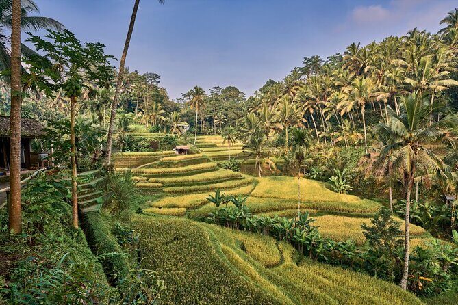 Full Day Private Guided Tour to Bali - How this full-day private Bali tour runs (and why that matters)
