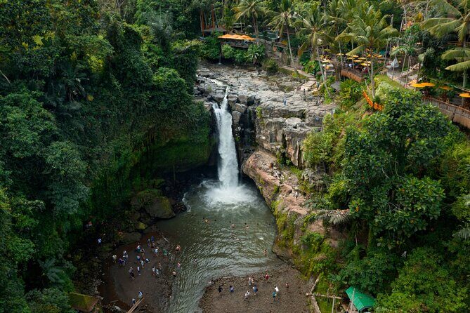 Full Day Private Guided Tour to Bali - Tegalalang Rice Terrace: cliff views and why timing helps