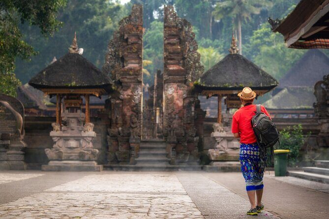 Full Day Private Guided Tour to Bali - Sacred Monkey Forest Sanctuary: temples, ancient trees, and monkey chaos