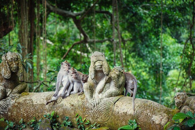 Full Day Private Guided Tour to Bali - Optional add-ons when there is time: Ubud arts, extra temples, and beaches
