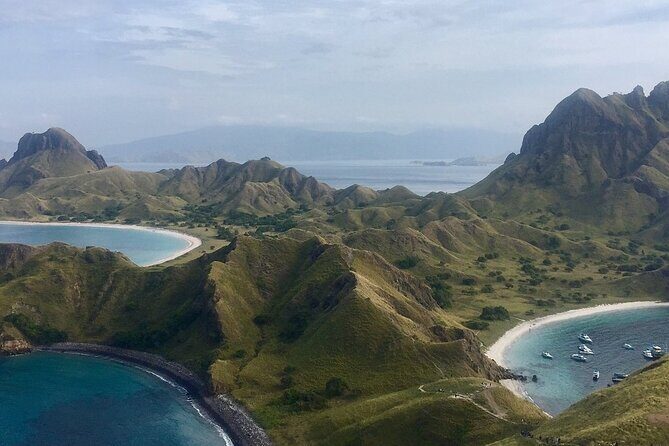Full Day Tour to Komodo Island By Speed Boat to explore 6 destinations - Pink Beach swim time (09:40–10:35): make it count