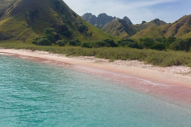 Full Day Tour to Komodo Island By Speed Boat to explore 6 destinations - Komodo Island (10:35–11:50): dragons, rules, and the guide