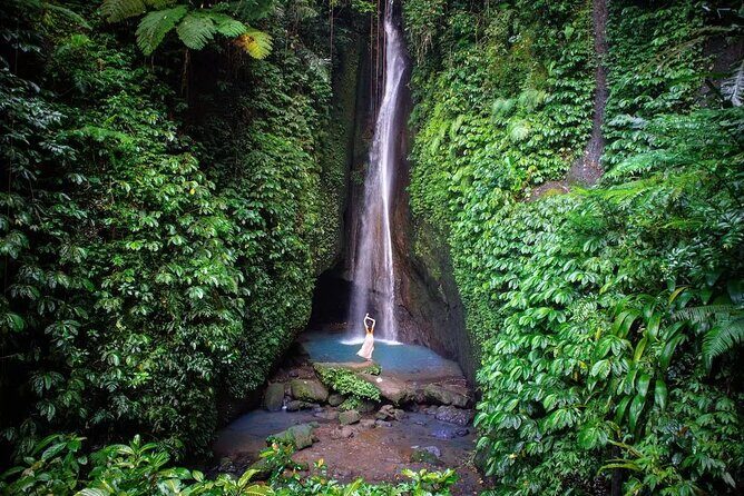 Full-Day Tour to Water Temples and UNESCO Rice Terraces in Bali - Stop 2: Jatiluwih UNESCO rice terraces and the subak system