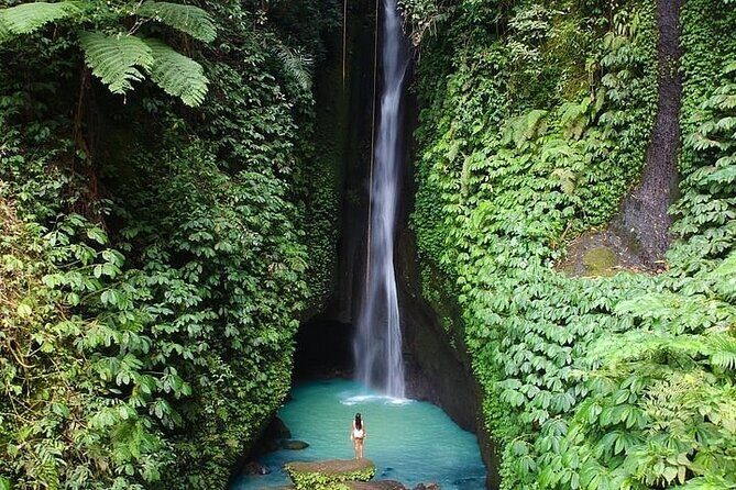 Full-Day Tour to Water Temples and UNESCO Rice Terraces in Bali - Door-to-door transport from Ubud: the real payoff