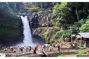 Full day Ubud and Tanah Lot tour - Pickup, private transportation, and the driver-guide experience
