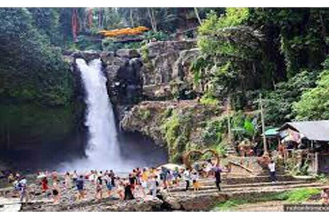 Full day Ubud and Tanah Lot tour - Pickup, private transportation, and the driver-guide experience
